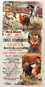 Two Great Bull Races